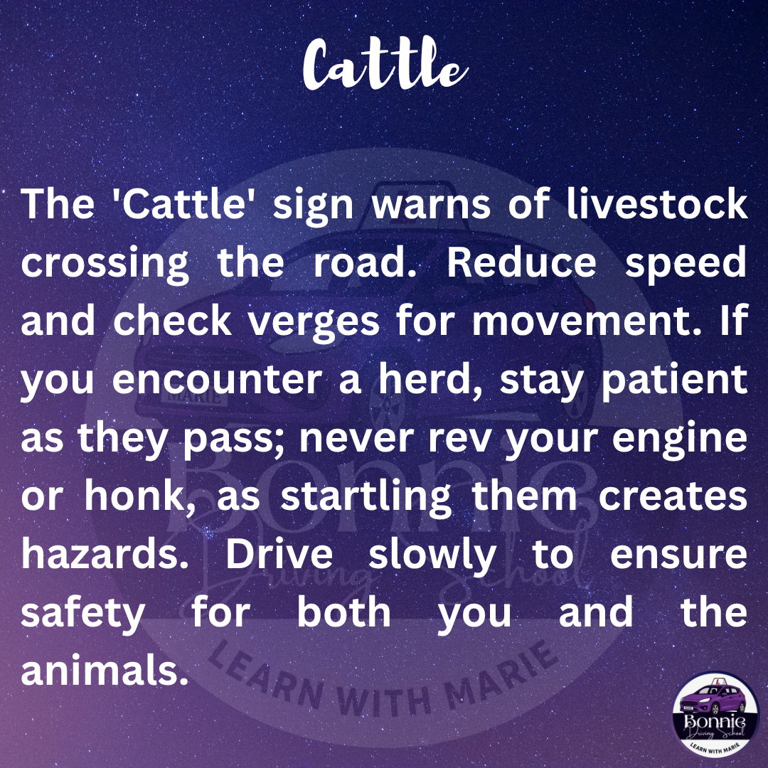 signs 67 Back